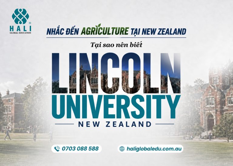 Lincoln University: Học phí, ngành học, đầu vào và học bổng