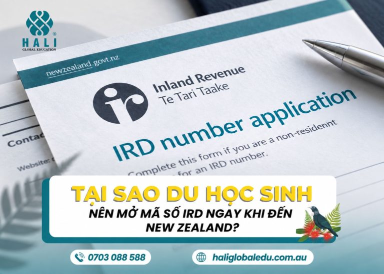 IRD Number tại New Zealand: Du học sinh cần biết gì trước khi đi làm thêm?